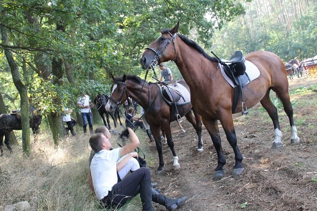 Ruszyli z kopyta - zdjęcia
