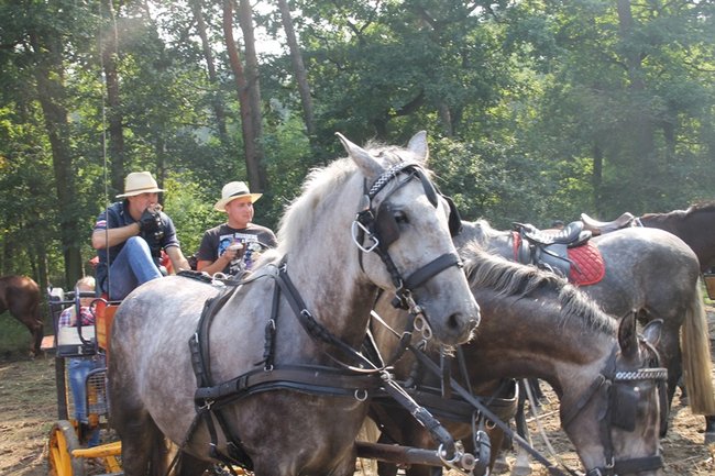Ruszyli z kopyta - zdjęcia