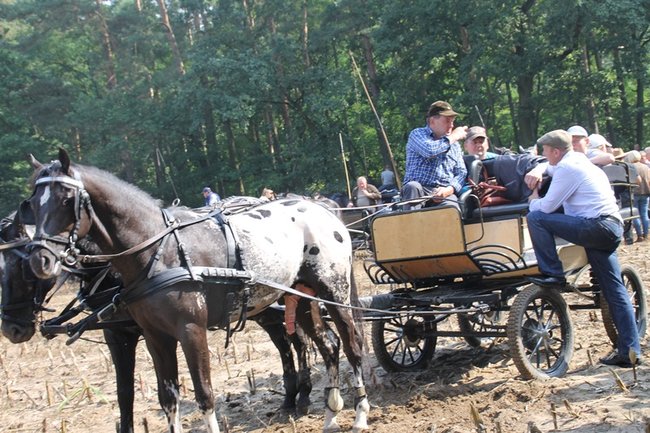 Ruszyli z kopyta - zdjęcia