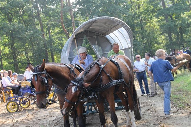 Ruszyli z kopyta - zdjęcia
