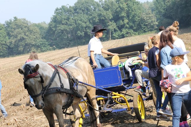 Ruszyli z kopyta - zdjęcia
