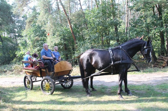 Ruszyli z kopyta - zdjęcia