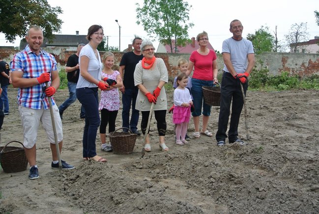 Ziemniaki bez tajemnic - zdjęcia