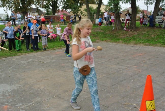 Ziemniaki bez tajemnic - zdjęcia