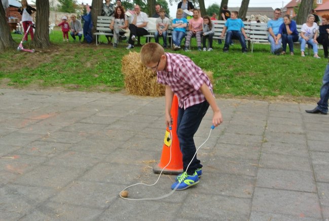 Ziemniaki bez tajemnic - zdjęcia