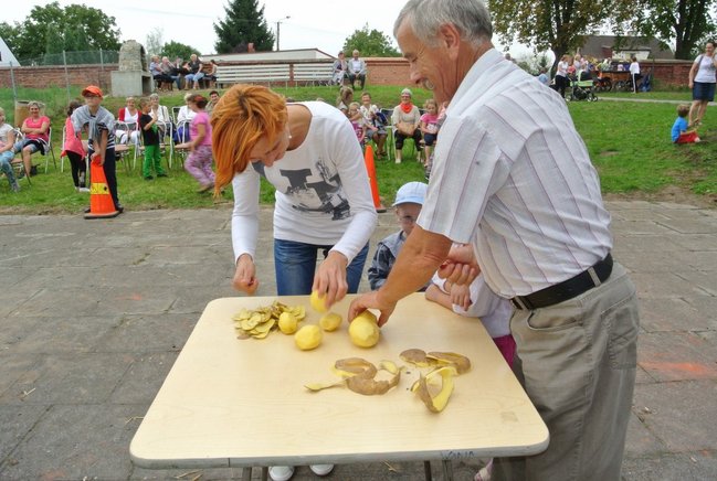 Ziemniaki bez tajemnic - zdjęcia