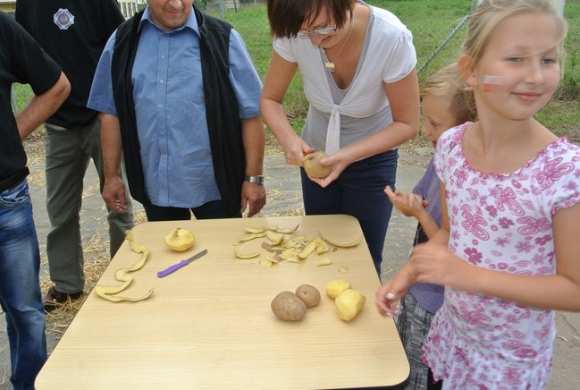 Ziemniaki bez tajemnic - zdjęcia