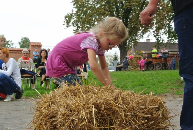 Ziemniaki bez tajemnic - zdjęcia