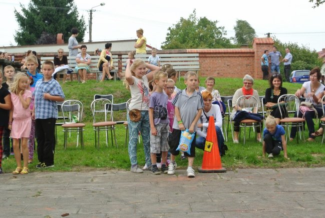 Ziemniaki bez tajemnic - zdjęcia