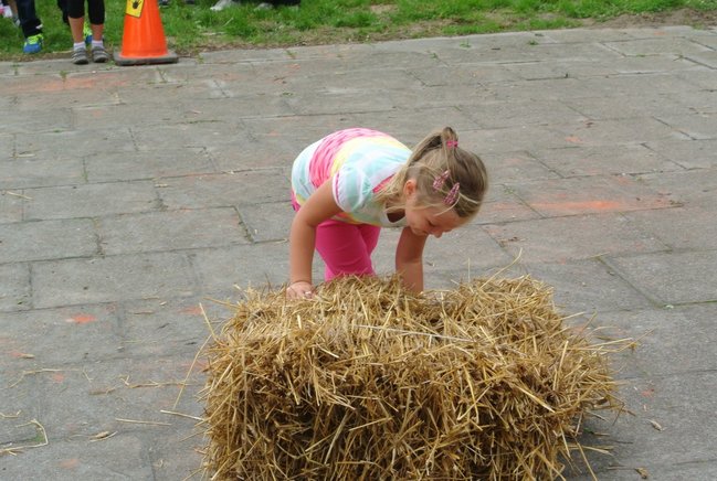 Ziemniaki bez tajemnic - zdjęcia