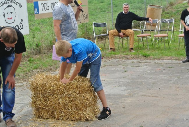 Ziemniaki bez tajemnic - zdjęcia