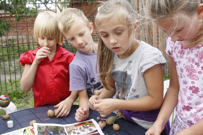 Ziemniaki bez tajemnic - zdjęcia