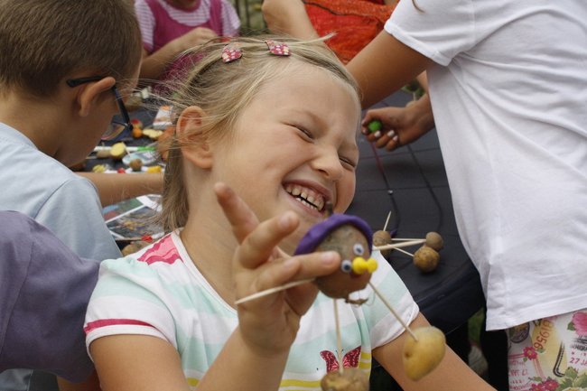 Ziemniaki bez tajemnic - zdjęcia