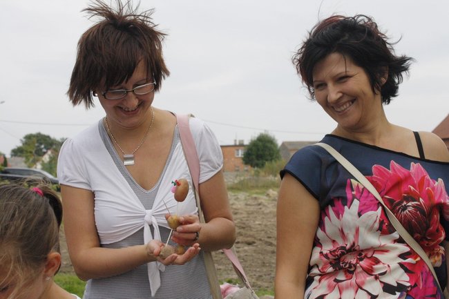 Ziemniaki bez tajemnic - zdjęcia