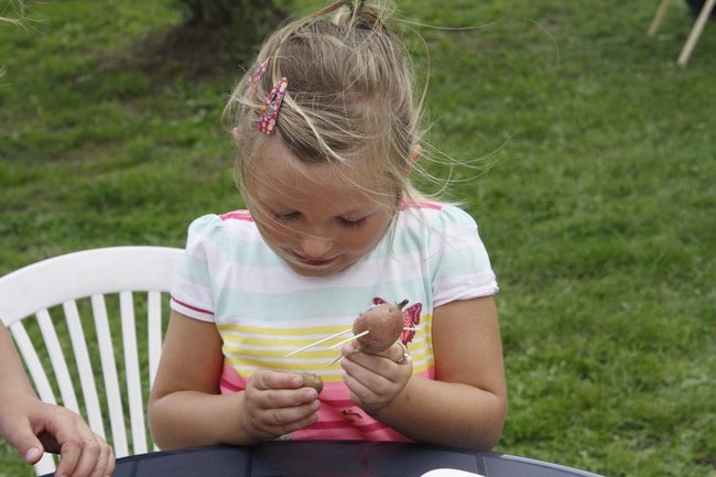 Ziemniaki bez tajemnic - zdjęcia