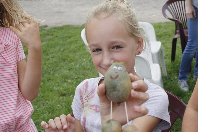 Ziemniaki bez tajemnic - zdjęcia