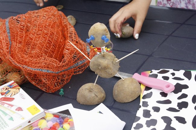 Ziemniaki bez tajemnic - zdjęcia