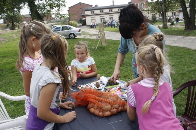 Ziemniaki bez tajemnic - zdjęcia