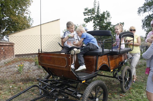 Ziemniaki bez tajemnic - zdjęcia
