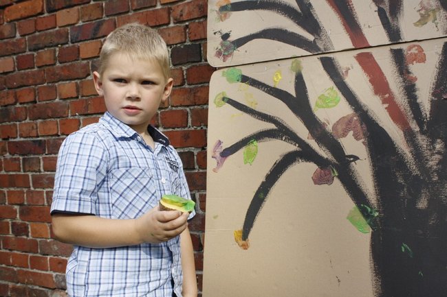 Ziemniaki bez tajemnic - zdjęcia