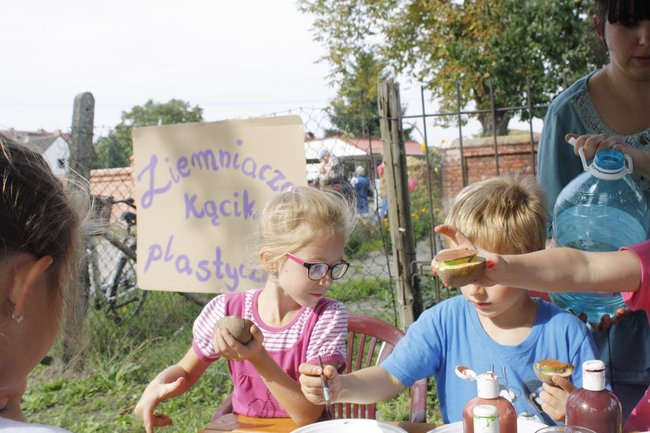 Ziemniaki bez tajemnic - zdjęcia