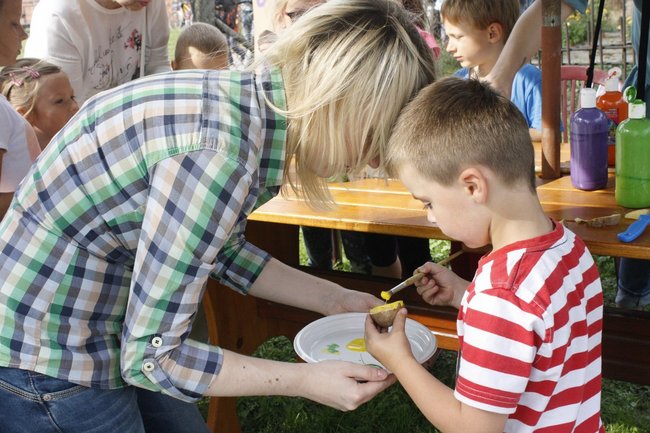 Ziemniaki bez tajemnic - zdjęcia