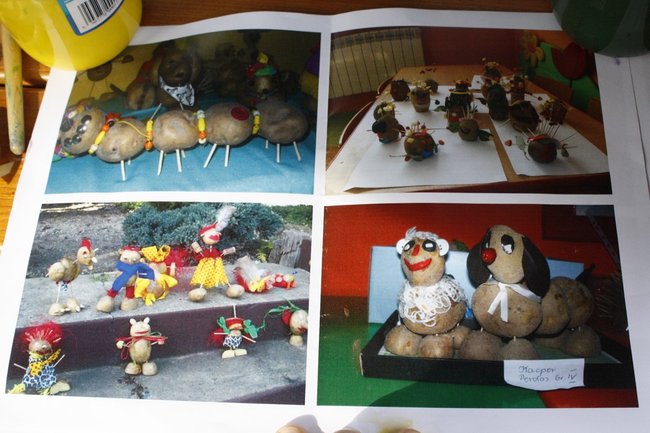 Ziemniaki bez tajemnic - zdjęcia