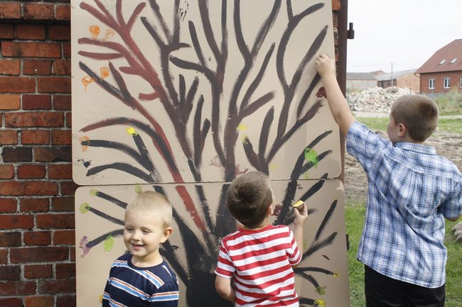 Ziemniaki bez tajemnic - zdjęcia