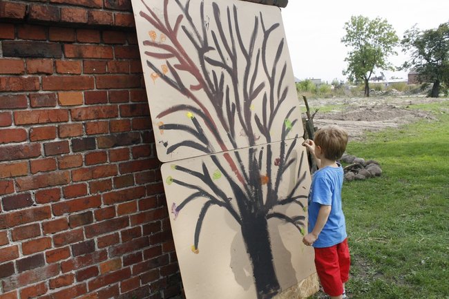 Ziemniaki bez tajemnic - zdjęcia