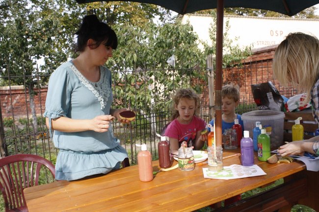 Ziemniaki bez tajemnic - zdjęcia