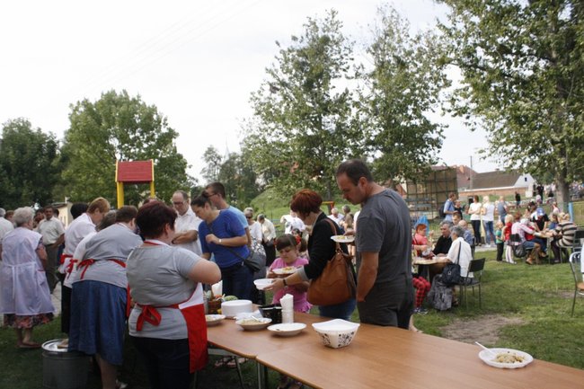 Ziemniaki bez tajemnic - zdjęcia