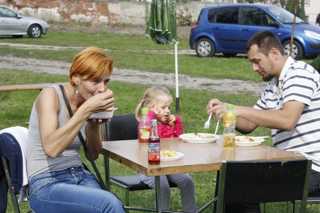 Ziemniaki bez tajemnic - zdjęcia