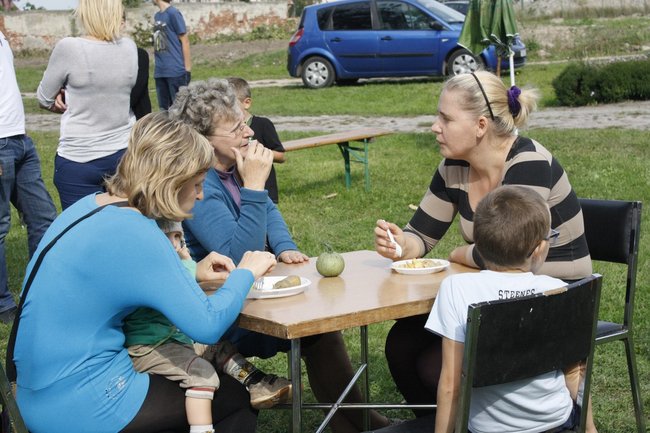 Ziemniaki bez tajemnic - zdjęcia