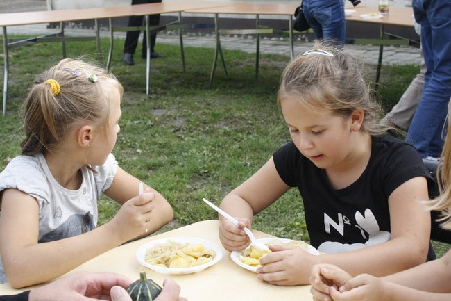 Ziemniaki bez tajemnic - zdjęcia
