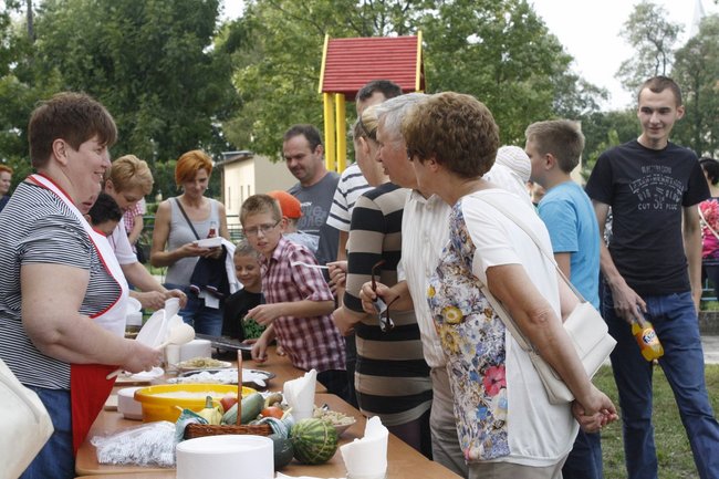 Ziemniaki bez tajemnic - zdjęcia