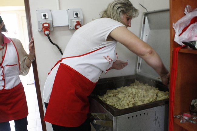 Ziemniaki bez tajemnic - zdjęcia