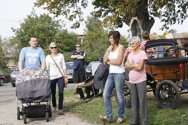 Ziemniaki bez tajemnic - zdjęcia