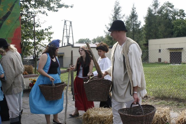 Ziemniaki bez tajemnic - zdjęcia