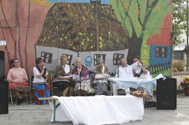 Ziemniaki bez tajemnic - zdjęcia