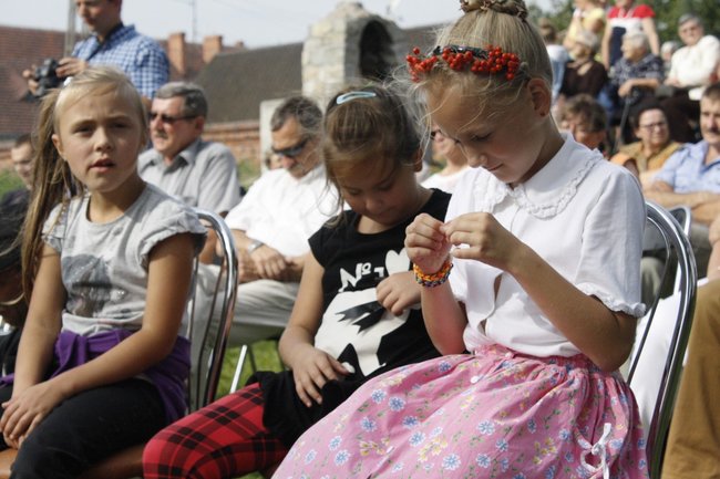 Ziemniaki bez tajemnic - zdjęcia