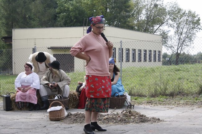 Ziemniaki bez tajemnic - zdjęcia