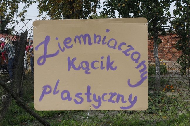 Ziemniaki bez tajemnic - zdjęcia