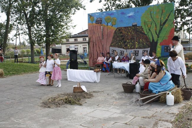 Ziemniaki bez tajemnic - zdjęcia