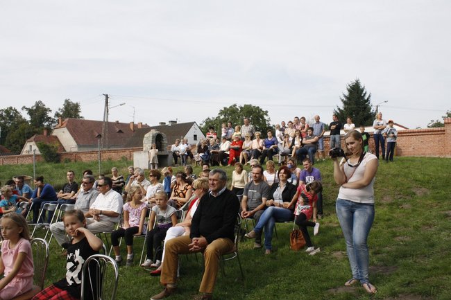 Ziemniaki bez tajemnic - zdjęcia