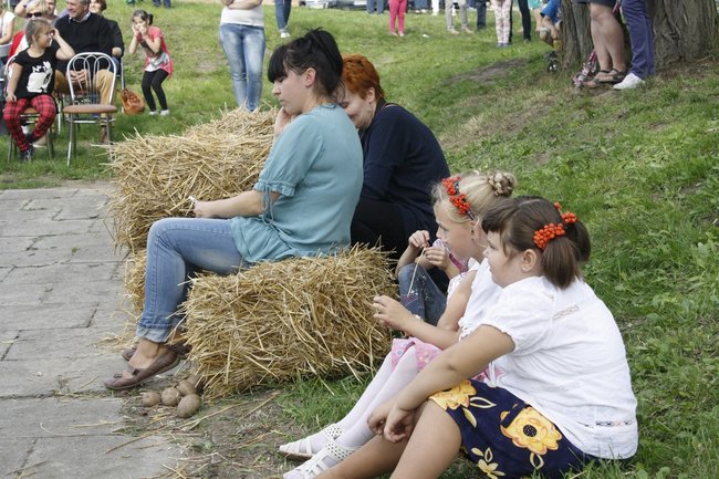 Ziemniaki bez tajemnic - zdjęcia