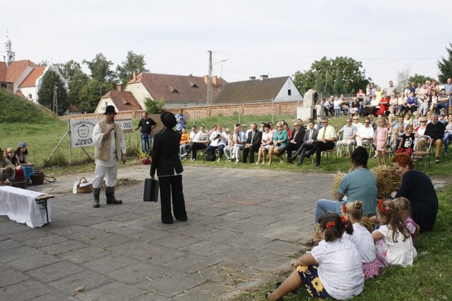 Ziemniaki bez tajemnic - zdjęcia