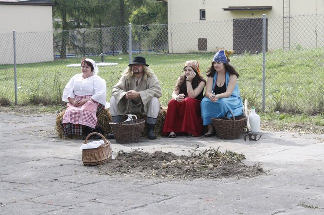 Ziemniaki bez tajemnic - zdjęcia