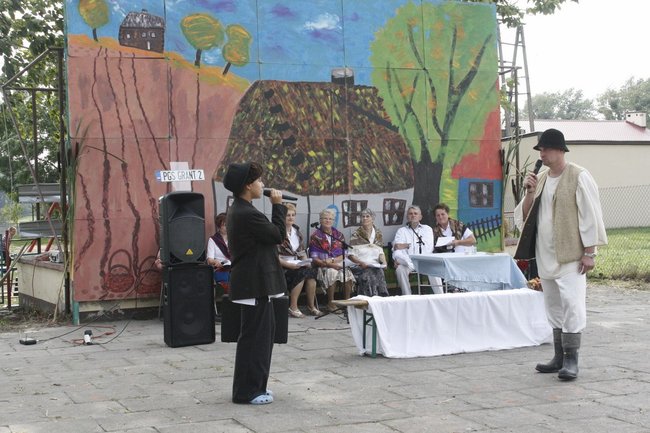 Ziemniaki bez tajemnic - zdjęcia