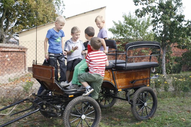 Ziemniaki bez tajemnic - zdjęcia