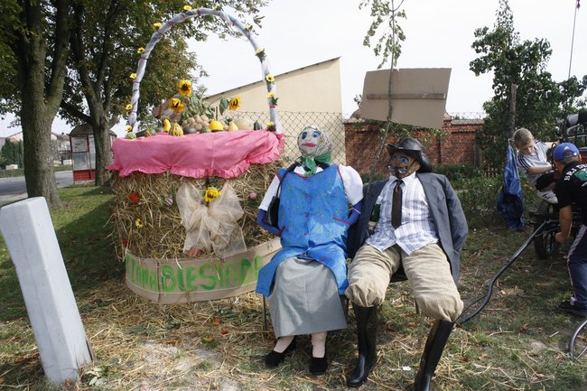 Ziemniaki bez tajemnic - zdjęcia